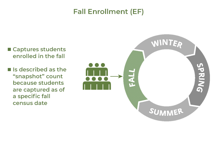 Fall Enrollment